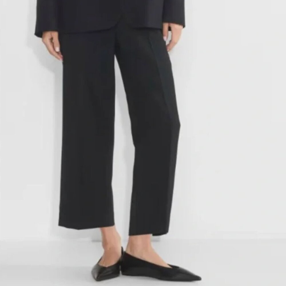 Babaton cropped Agency pants, re-essential fabric, black